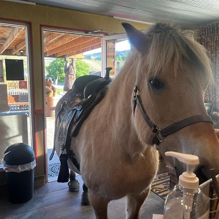 Big Bear Motel Cody Εξωτερικό φωτογραφία
