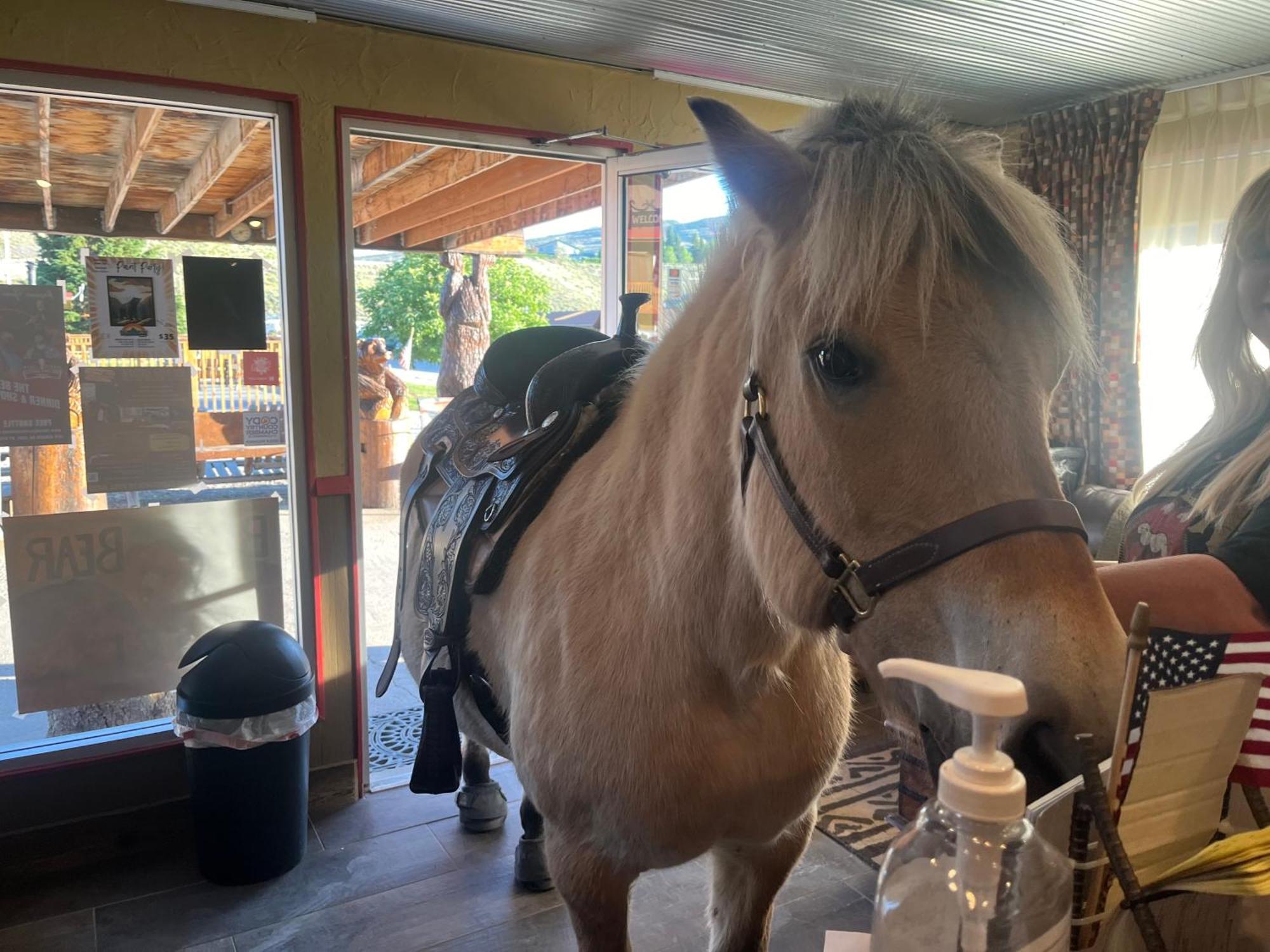 Big Bear Motel Cody Εξωτερικό φωτογραφία